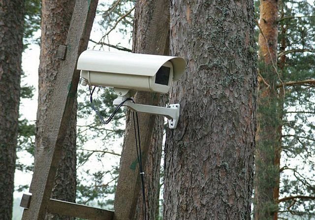 В рязанских лесах установят новые камеры