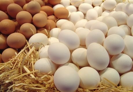 Израиль отказался от импорта украинских яиц