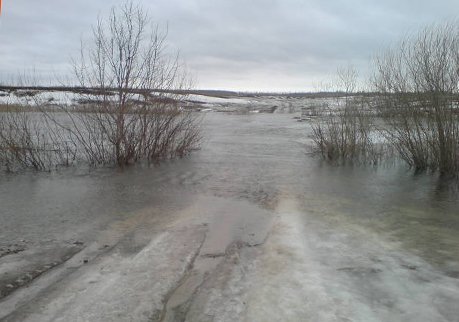 В Рязанской области подтопило еще один мост