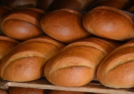 Рязанские аграрии поставили беженцам более тонны хлеба