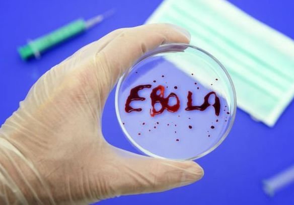От лихорадки Эбола скончались 6388 человек