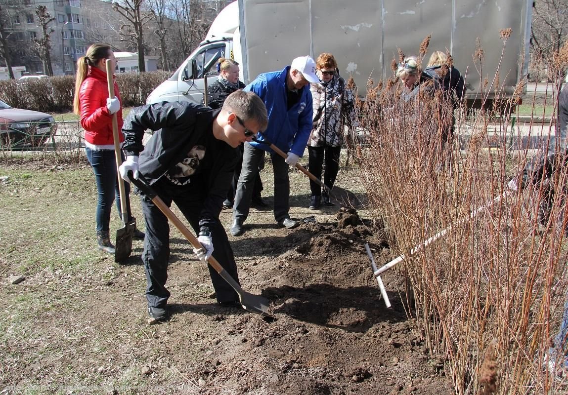 В Рязани весной посадили 2 870 деревьев и кустарников