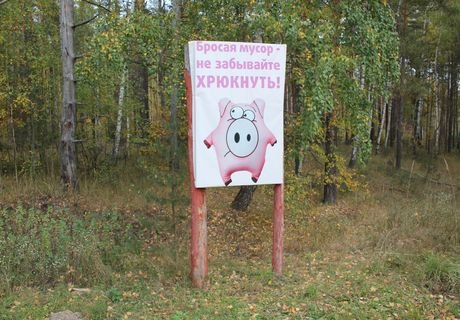 На охрану природы в Рязани выделят 302 млн рублей