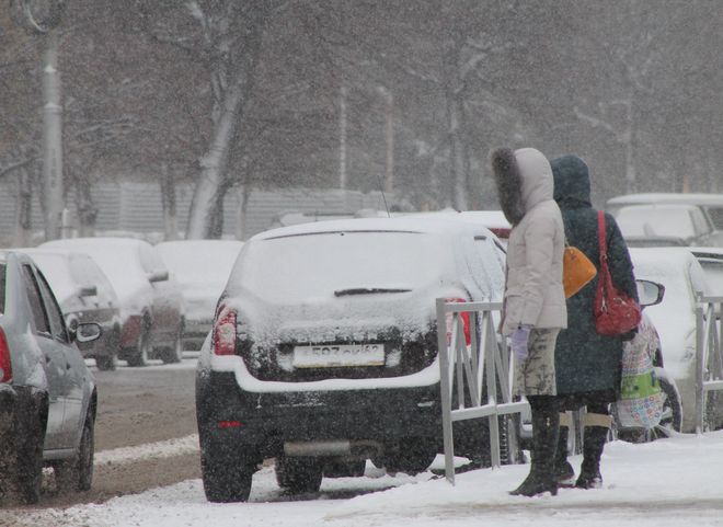 В Рязанской области ожидается сильный ветер и мокрый снег