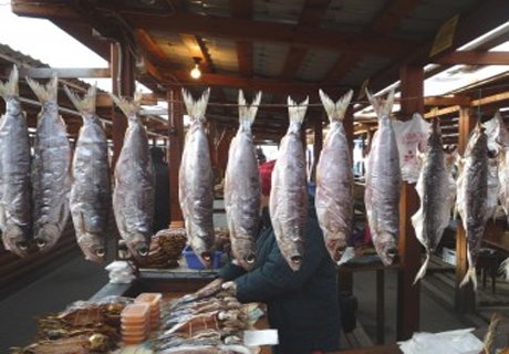Рыба и молоко из Белоруссии попали под запрет в РФ