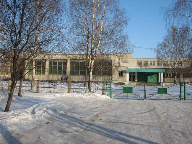 В Рязани могут реконструировать старые школы
