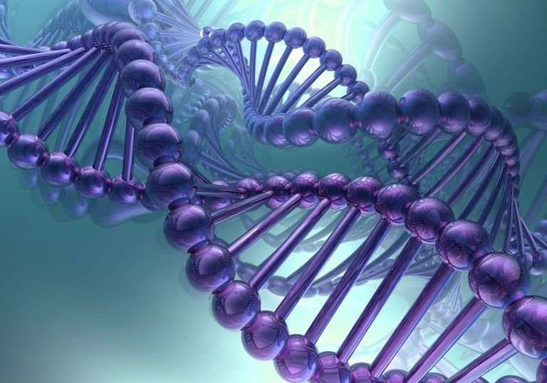Редактирование ДНК впервые помогло излечить болезнь печени