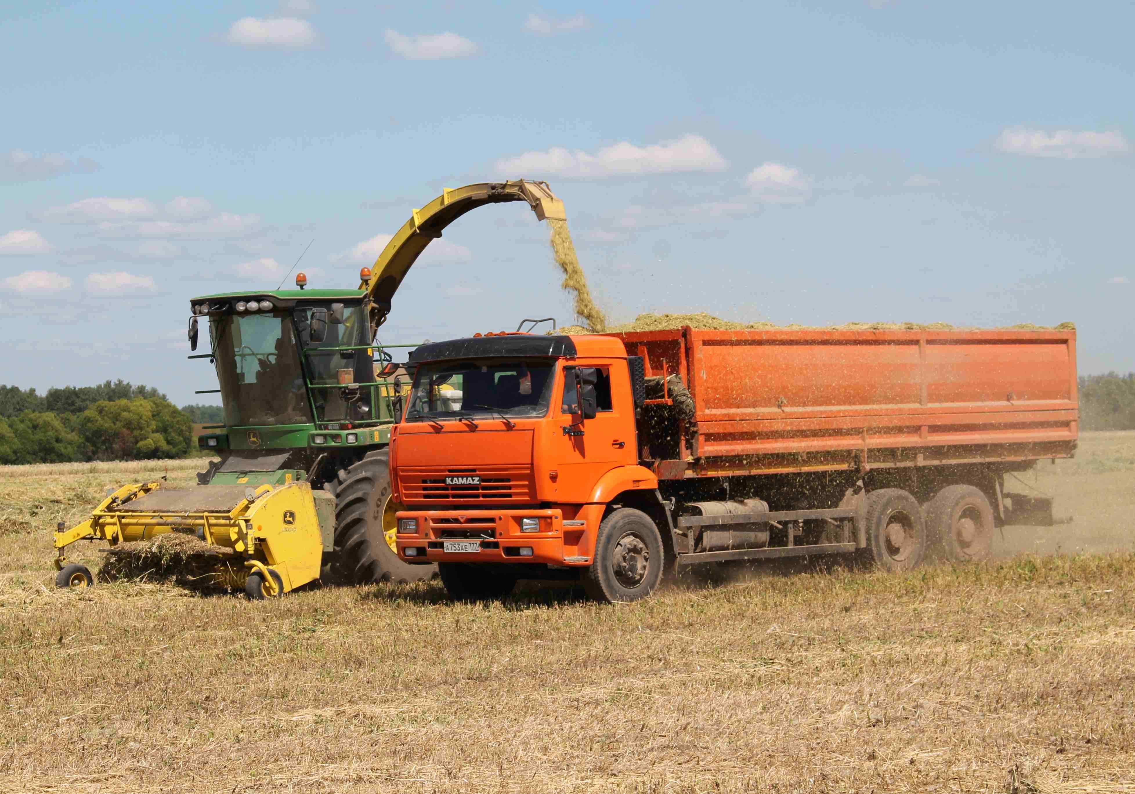 В Рязани на 4,6% выросло производство сельхозпродукции