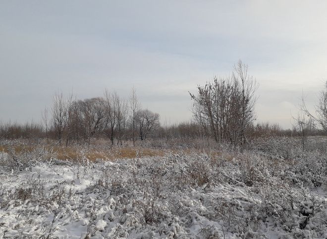 В Кадомском районе нашли тело пропавшего в январе рязанца