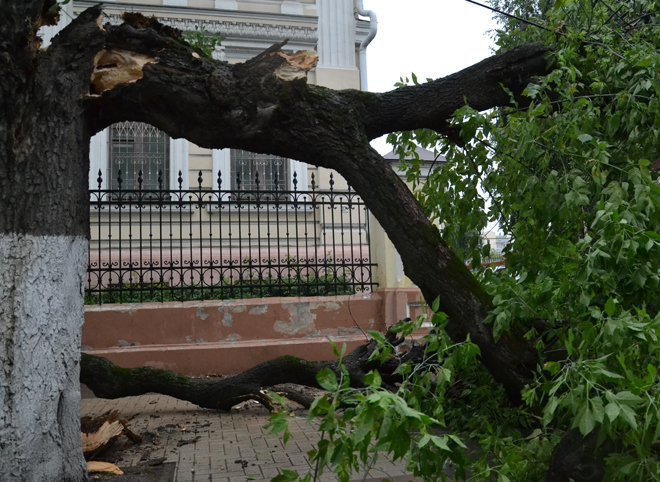 МЧС: в 2017 году Рязанская область — в зоне риска по ураганам