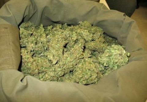 Житель Захаровского района хранил дома 2,5 кг марихуаны