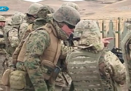 Стартовали грузино-американские военные учения