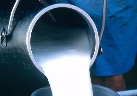 На пункты приема молока в России выделят 500 млн