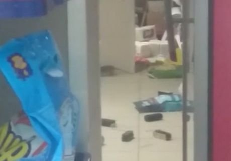 Москвич заснял крыс на прилавках магазина «Магнит»