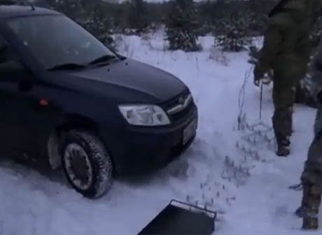 Под Воронежем похитителей елок ловили с помощью шипованной ленты (видео)