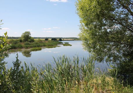 В Рязанском районе в озере утонул мужчина