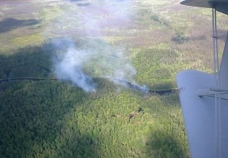 В Рязанской области потушено два лесных пожара
