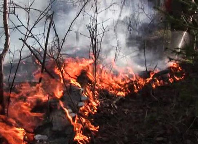 В Сибири введен режим ЧС из-за лесных пожаров