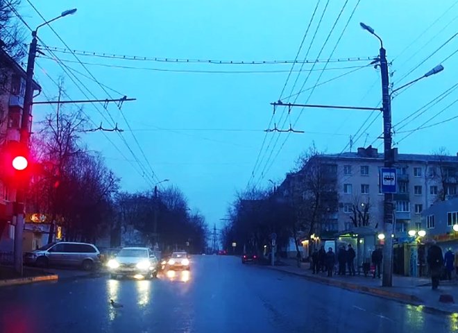 В Калуге голубь перешел дорогу, дождавшись разрешающего знака светофора (видео)