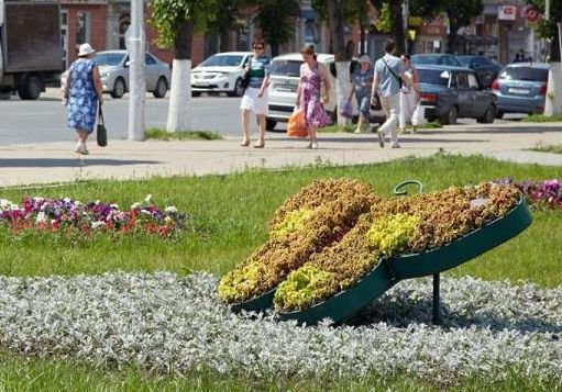 В Рязани посадят по цветку на каждого жителя города