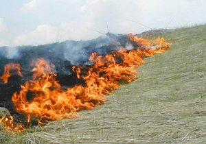 В Рязанской области оштафованы 68 поджигателей травы