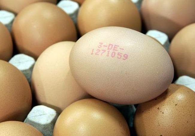 За счет Рязани в России выросло производство яиц