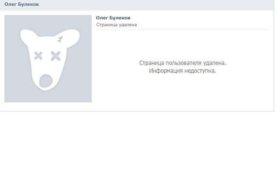 Фейковую страничку мэра Рязани Булекова в ВК удалили