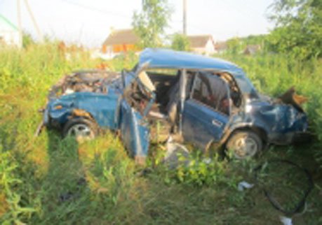 В Старожиловском районе ВАЗ съехал в кювет, водитель погиб