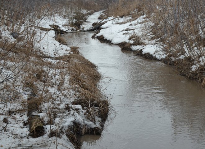 В Рязанской области возбуждено уголовное дело по факту загрязнения реки