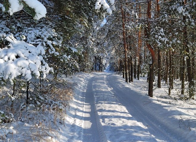 В Рязанской области ожидается небольшой снег, ночью  до -16 ºС