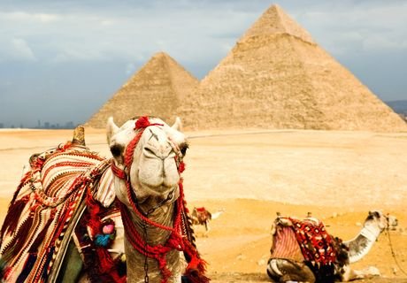 Египетские туроператоры откроют филиалы в РФ