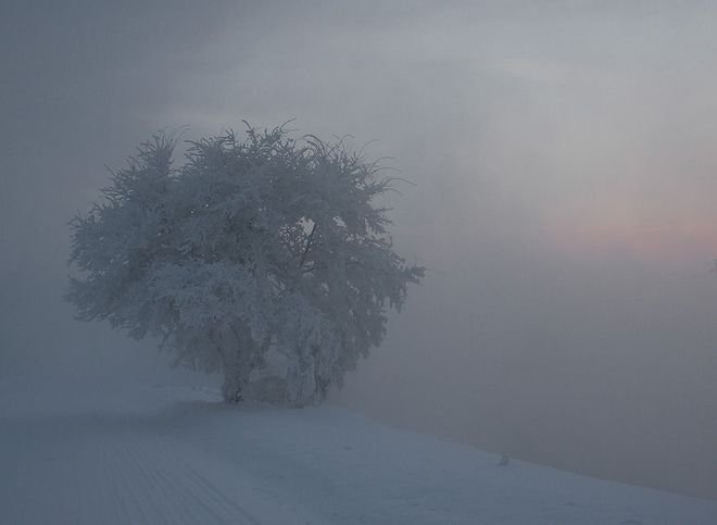В Рязанской области ожидаются сильный туман и гололед