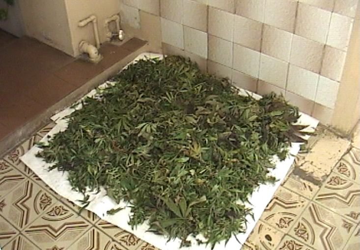 За 11 дней в Рязани изъяли более 10 кг наркотиков