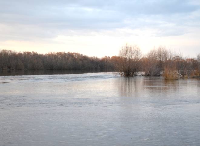 Уровень воды в Оке в черте Рязани за сутки понизился на 6 см
