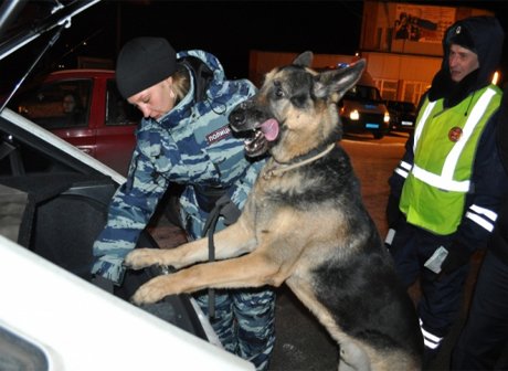На Южном Урале за ночь раскрыли 125 преступлений