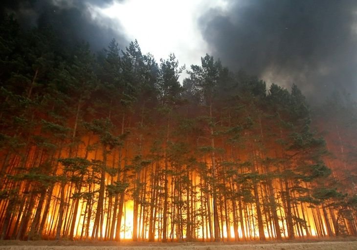 В Югре действует восемь крупных лесных пожаров