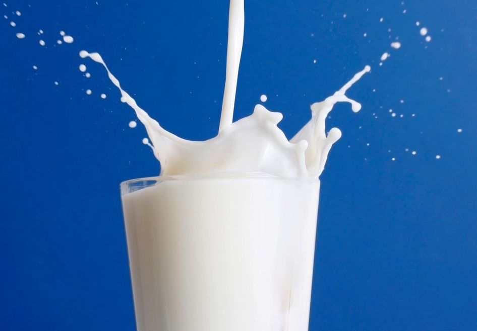 В рязанском молоке нашли антибиотики