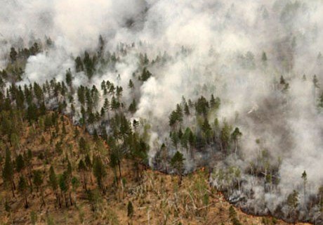 В России за ночь сгорело 15 тысяч гектаров лесов