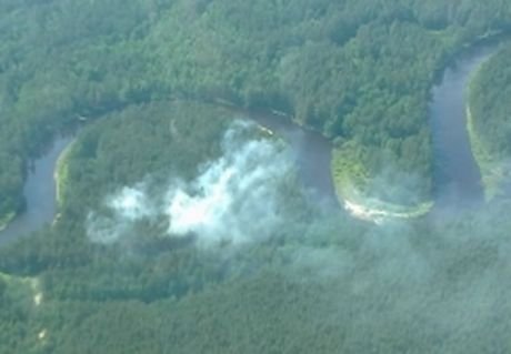 В Клепиковском районе обнаружен лесной пожар
