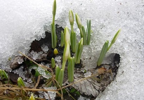 Настоящую весну стоит ждать к апрелю – метеорологи