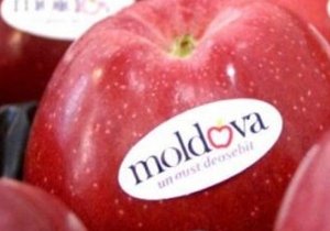 Россельхознадзор разрешил Молдавии ввозить фрукты