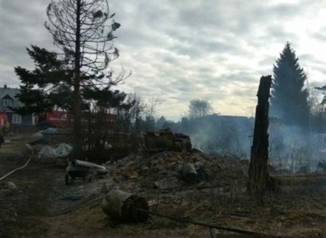 Житель Ленинградской области под впечатлением от теракта в метро сжег целую деревню