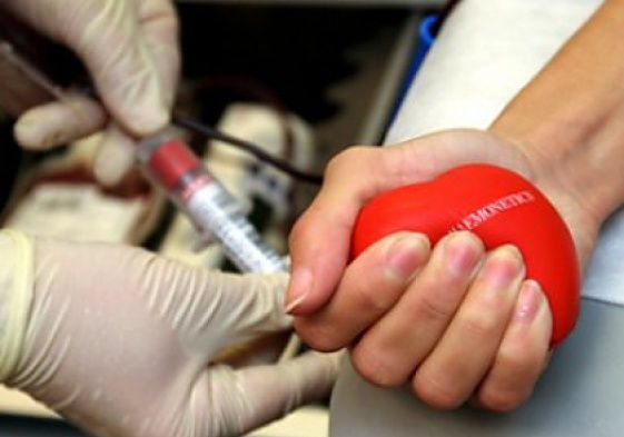 Рязанцы сдали 103 литра крови в рамках акции «Авто-МотоДонор»
