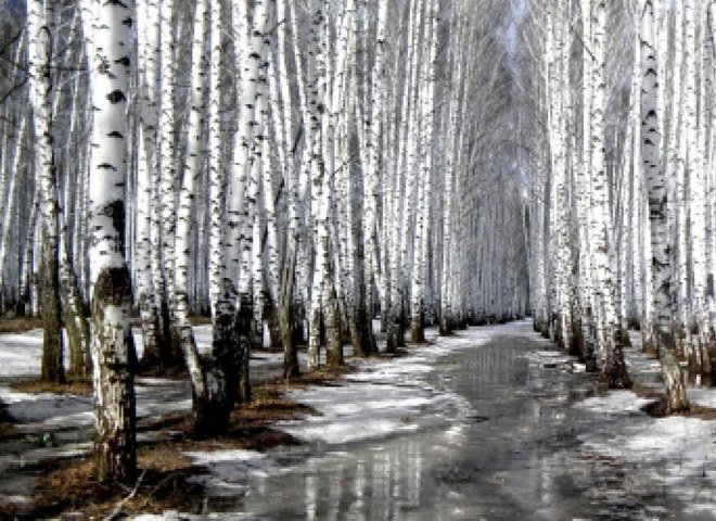 В субботу в Рязанской области ожидается снег и сильная гололедица