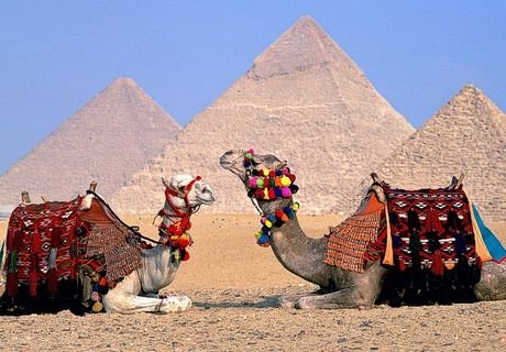 В РФ запретили продавать туры в Египет через третьи страны