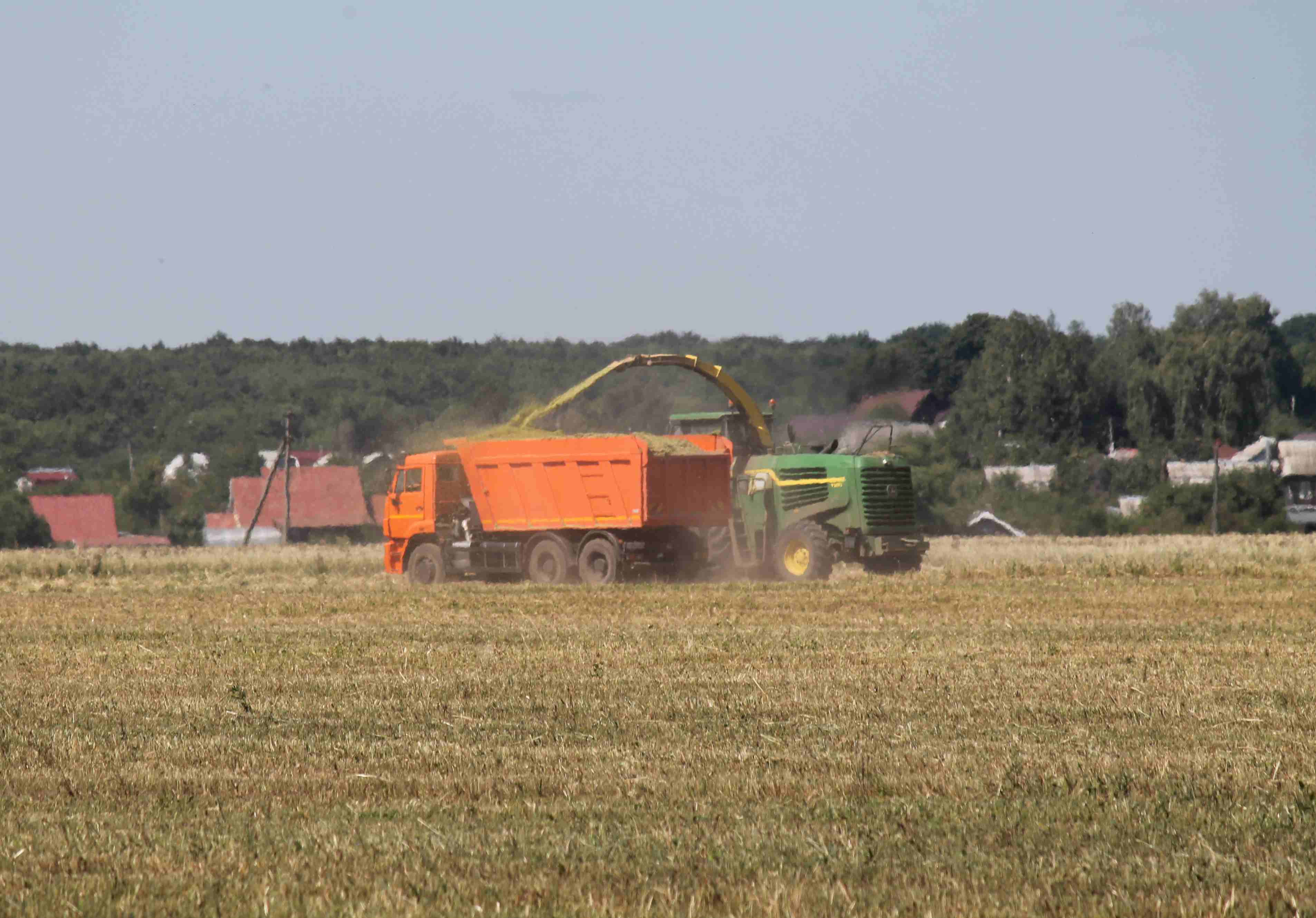 В Рязани заготовили на зиму более 70% кормов