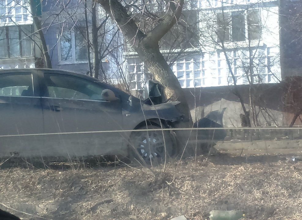 На окраине Рязани Chevrolet въехала в дерево