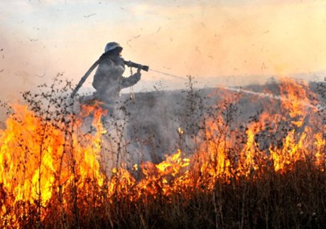 В Рязани за выходные произошло 140 возгораний травы