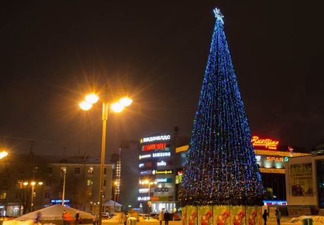 В Рязани установят 33 новогодние елки