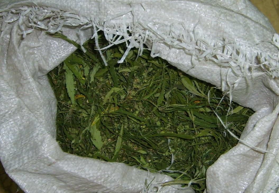 У 18-летнего жителя Ряжска изъяли мешок с марихуаной